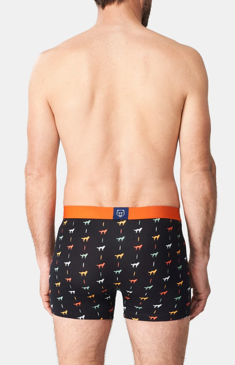 Boxer - Jeune loup
