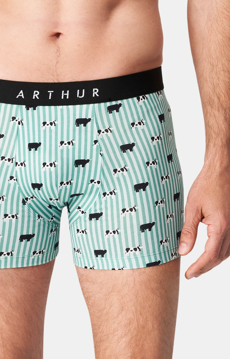 Boxer - Meeuuh Vert