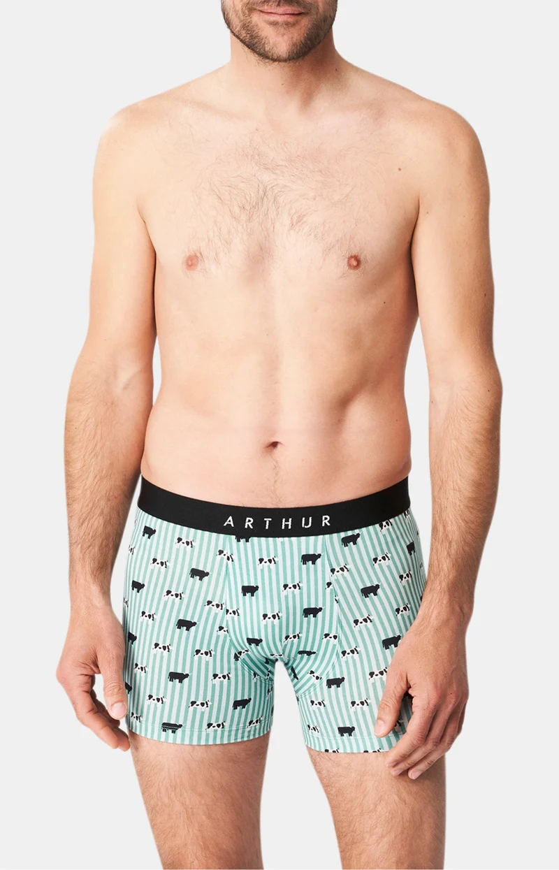 Boxer - Meeuuh Vert