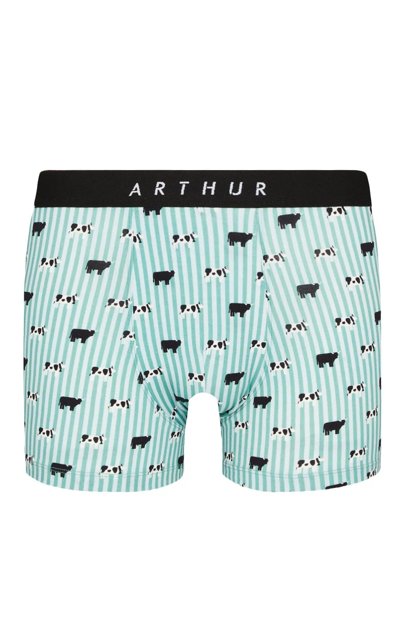 Boxer - Meeuuh Vert