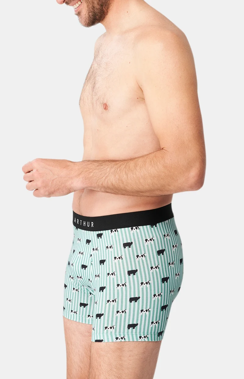 Boxer - Meeuuh Vert