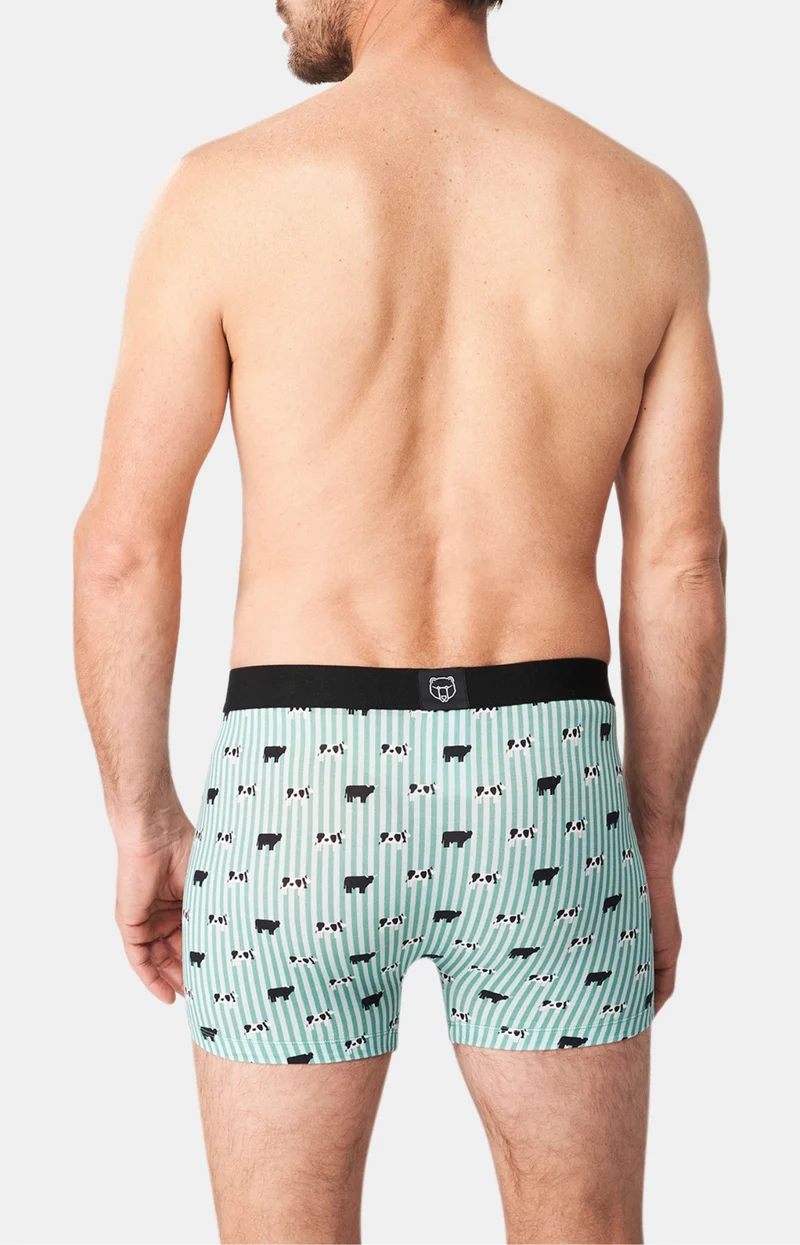 Boxer - Meeuuh Vert