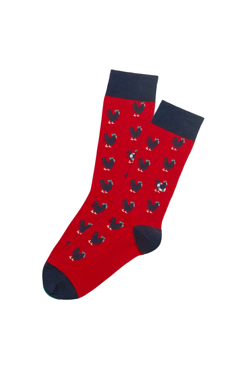 Chaussettes - Coq