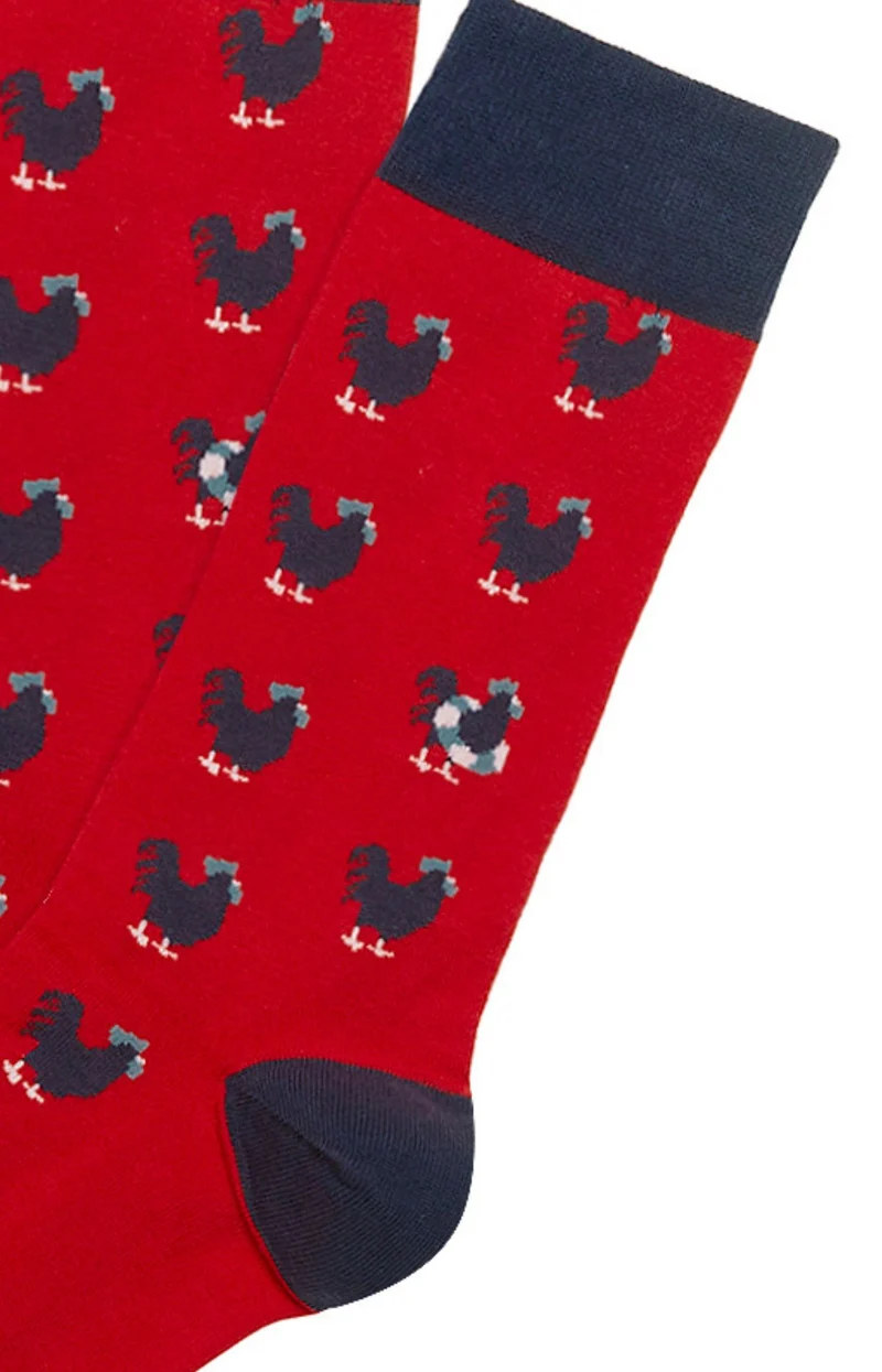 Chaussettes - Coq