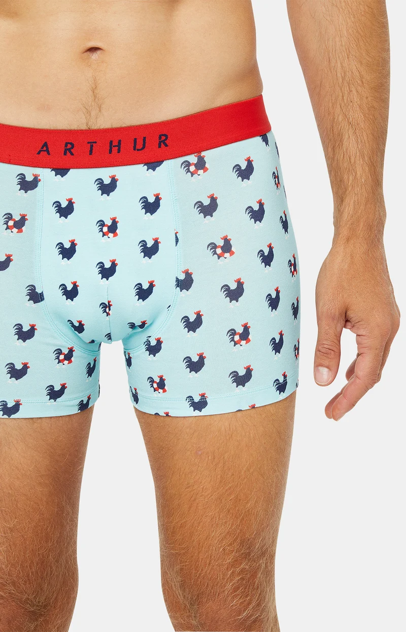 Boxer - Coq Bleu Ciel