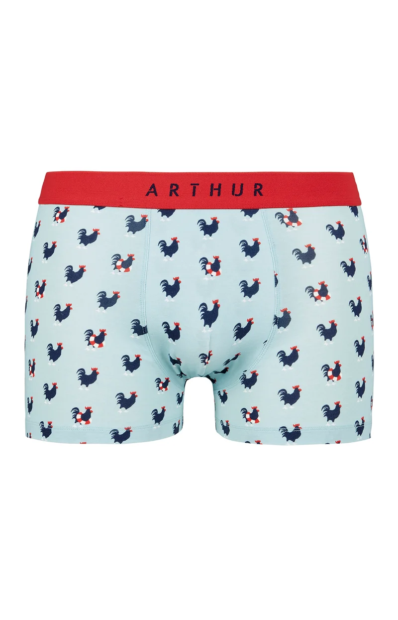 Boxer - Coq Bleu Ciel