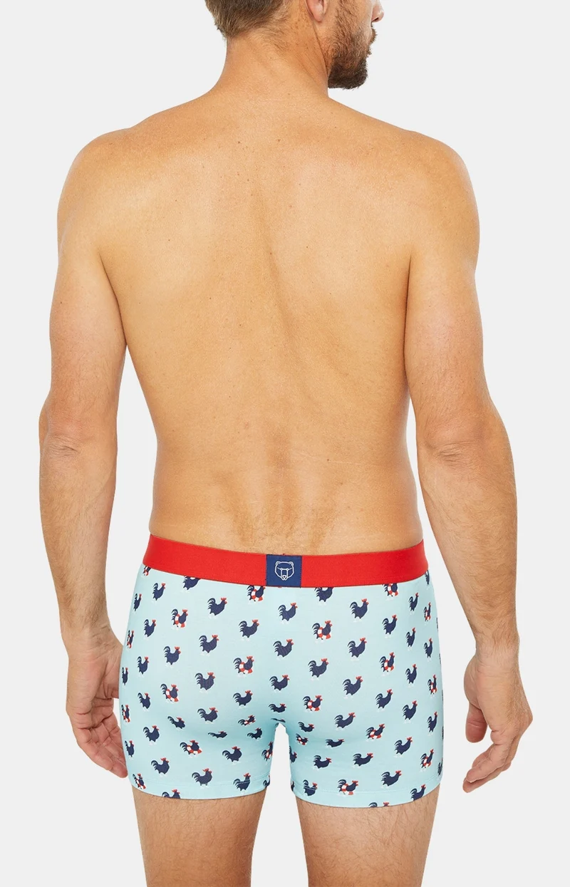 Boxer - Coq Bleu Ciel