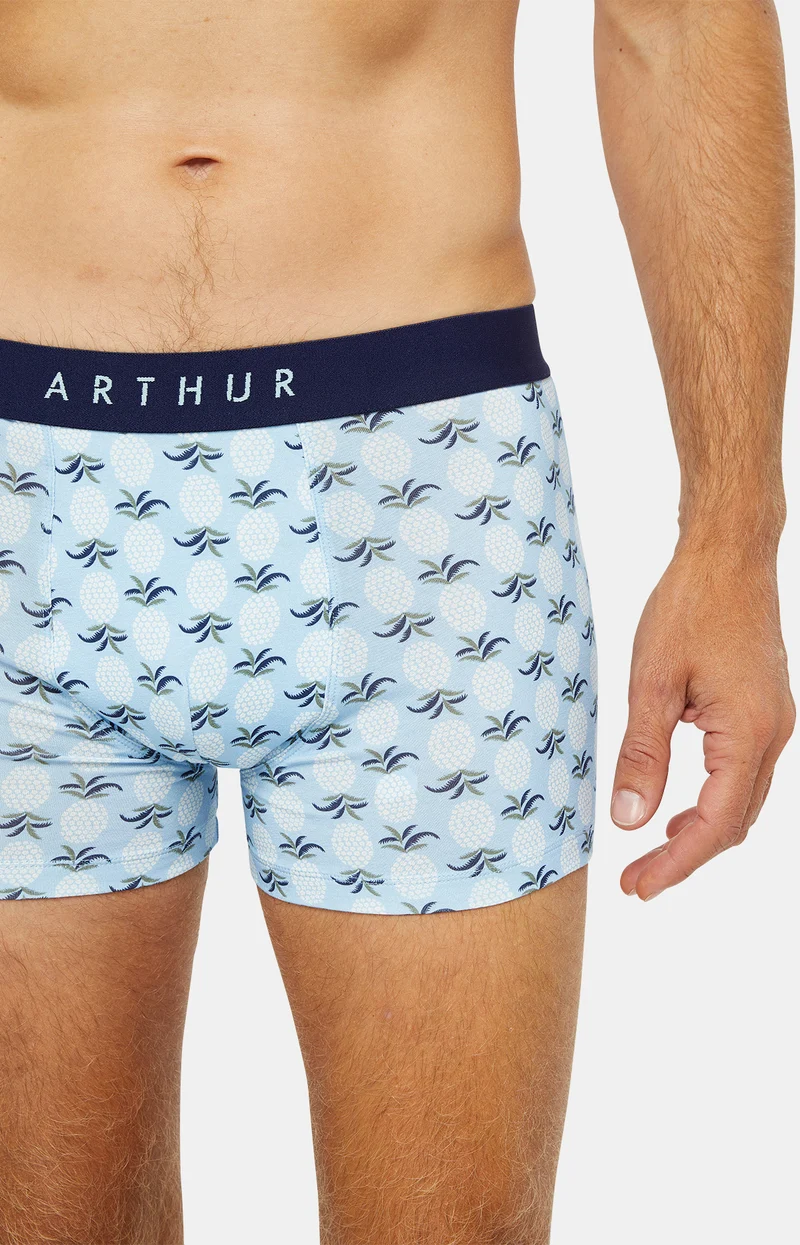 Boxer - Ananas