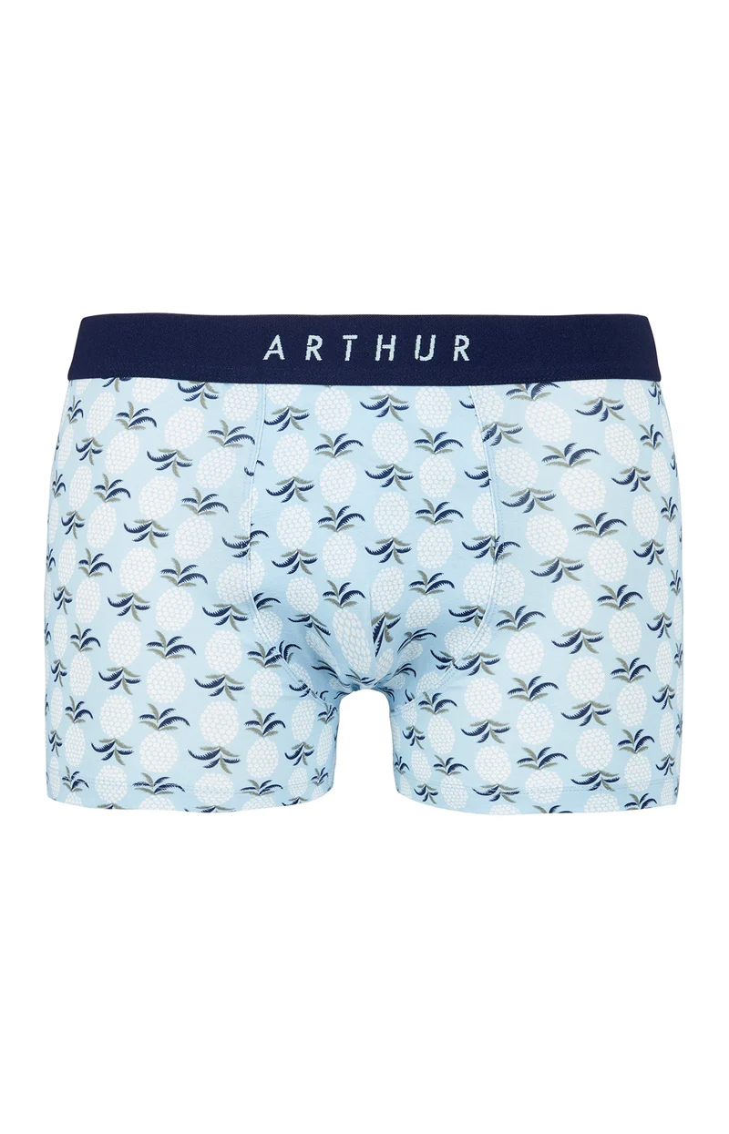 Boxer - Ananas