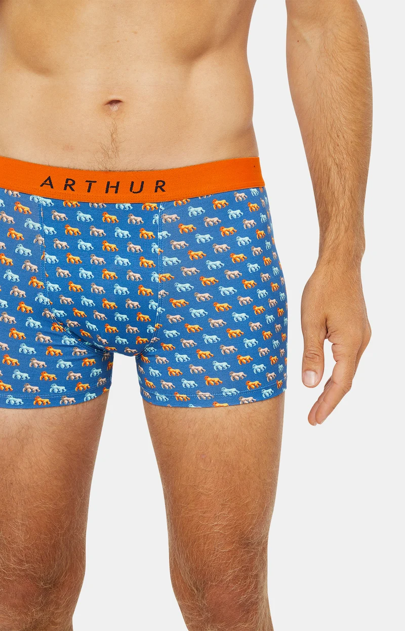 Boxer - Gorille