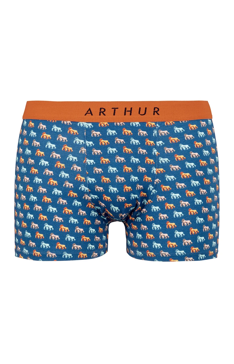 Boxer - Gorille