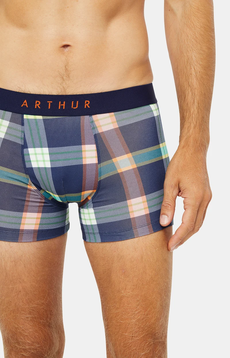 Boxer - Ashberry
