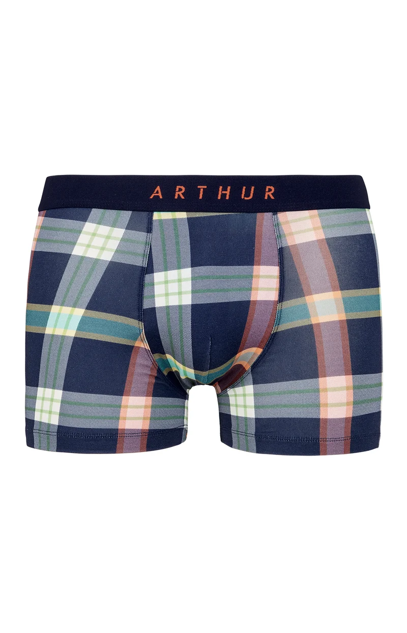 Boxer - Ashberry