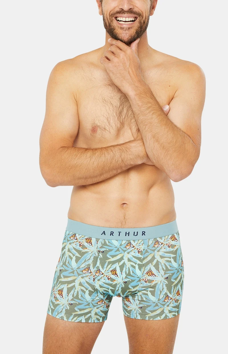 Boxer - Tigre