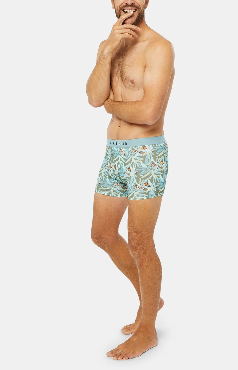 Boxer - Tigre