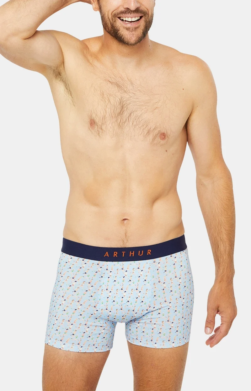 Boxer - Marathon