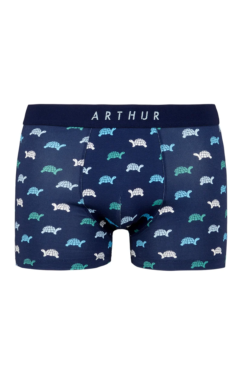 Boxer - Tortue
