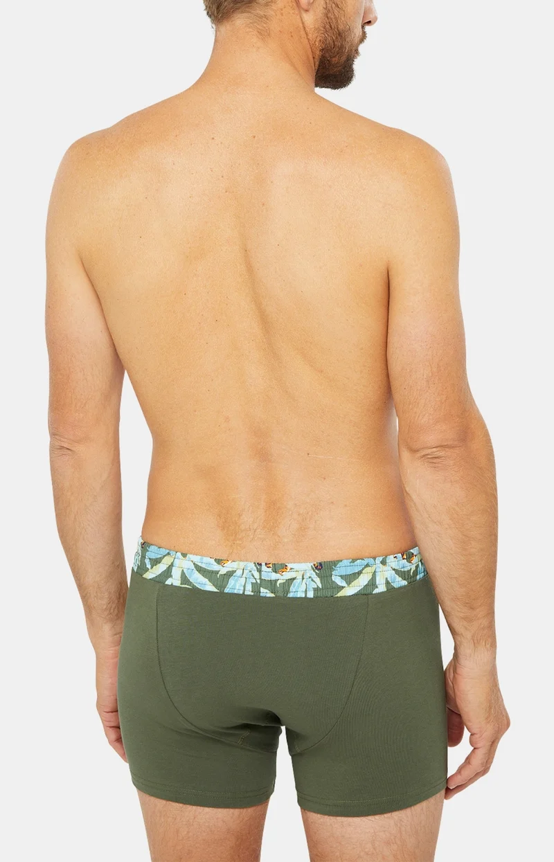 Boxer Club - Coton