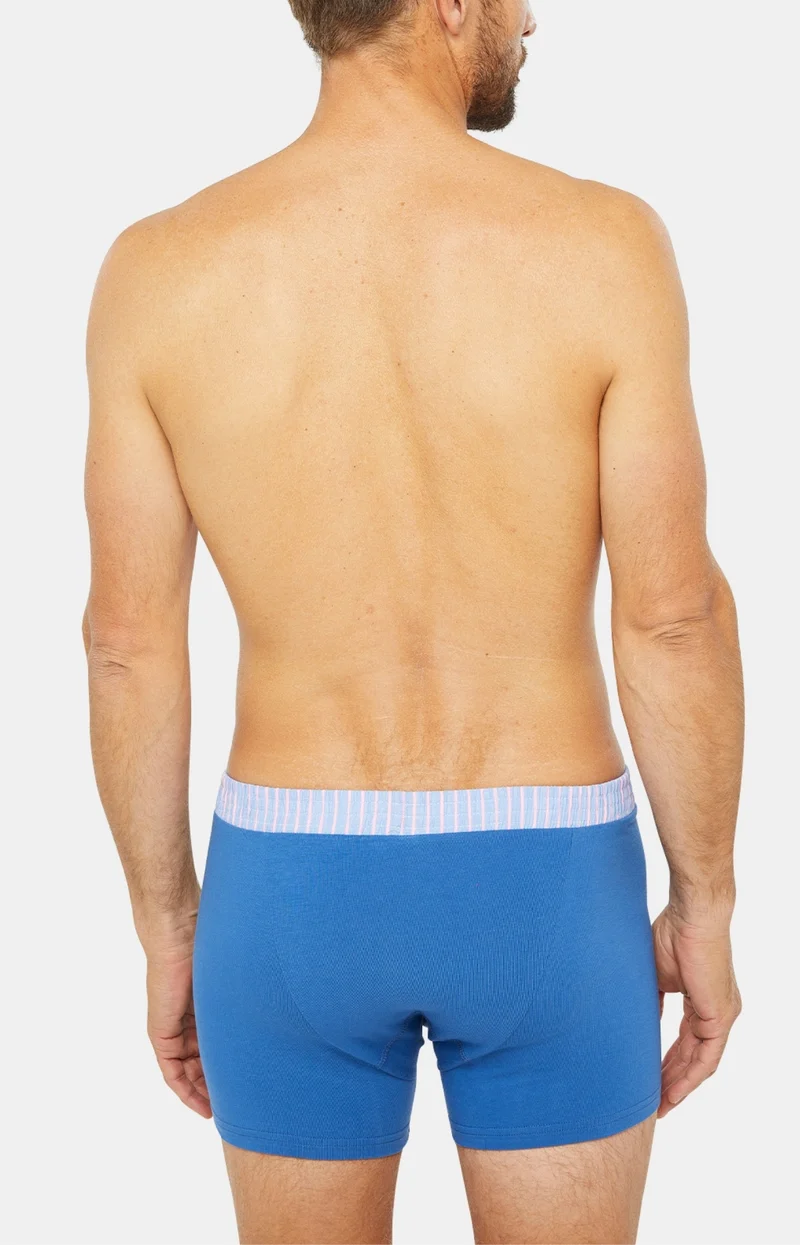 Boxer Club - Coton