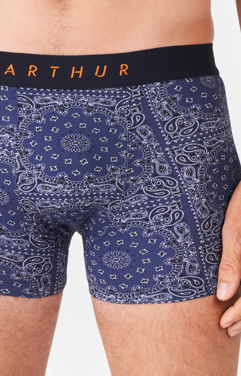 Boxer - Bandana