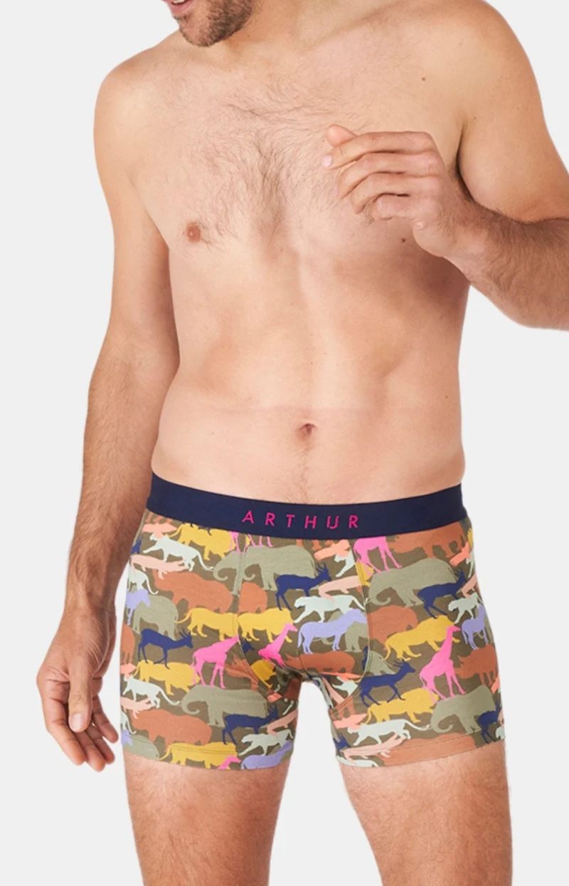 Boxer - Brousse Lit