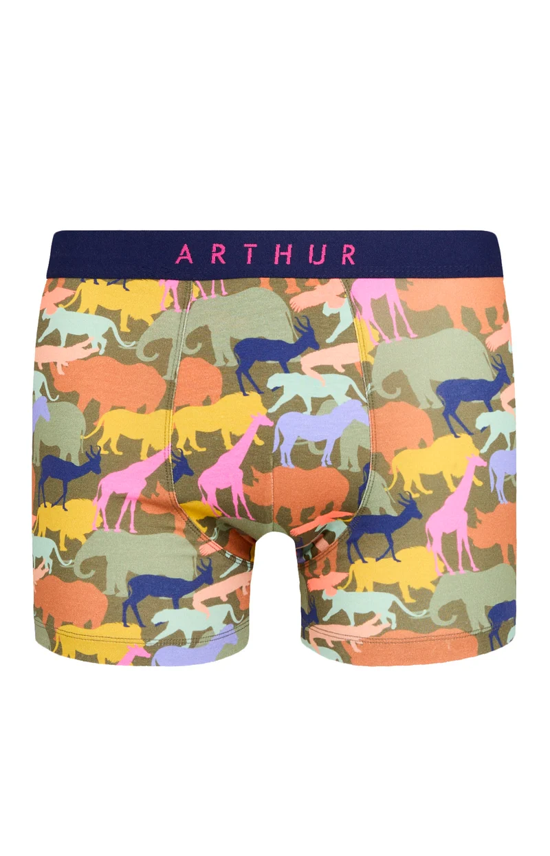Boxer - Brousse Lit