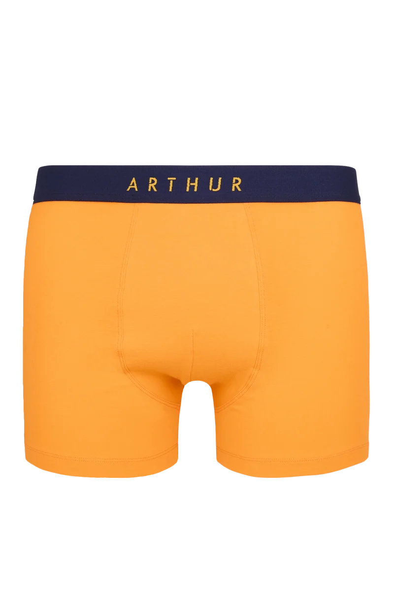 Boxer - Coton Orange