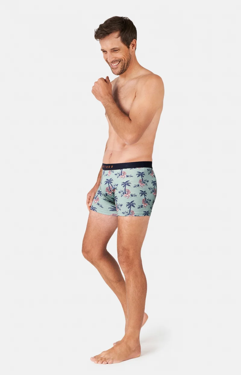 Boxer - Fauve qui Peut