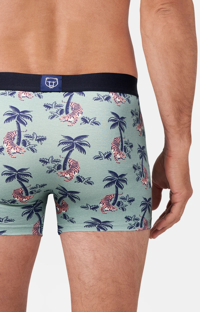 Boxer - Fauve qui Peut