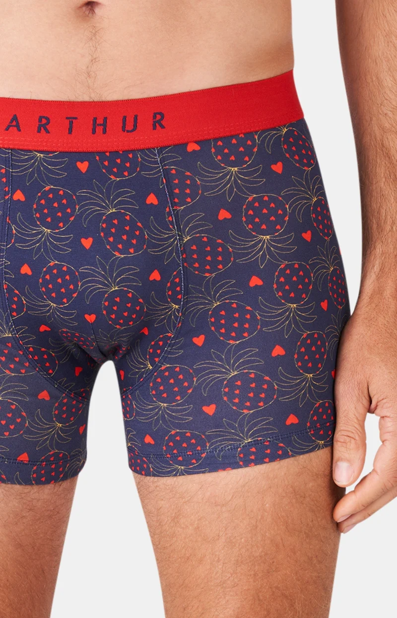 Boxer - Fruit défendu