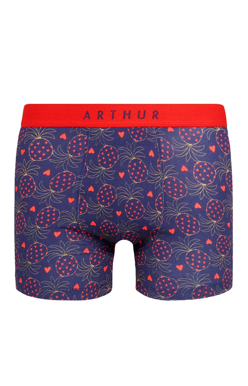 Boxer - Fruit défendu