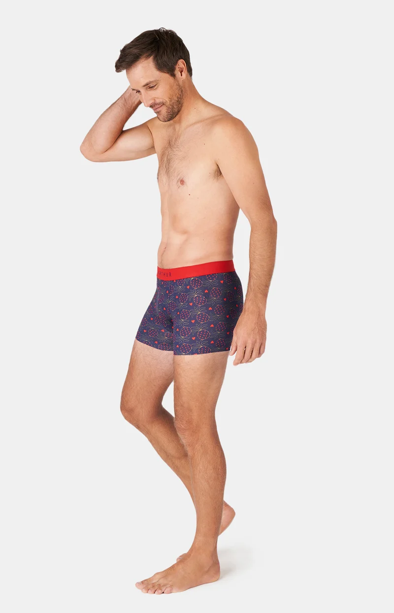 Boxer - Fruit défendu