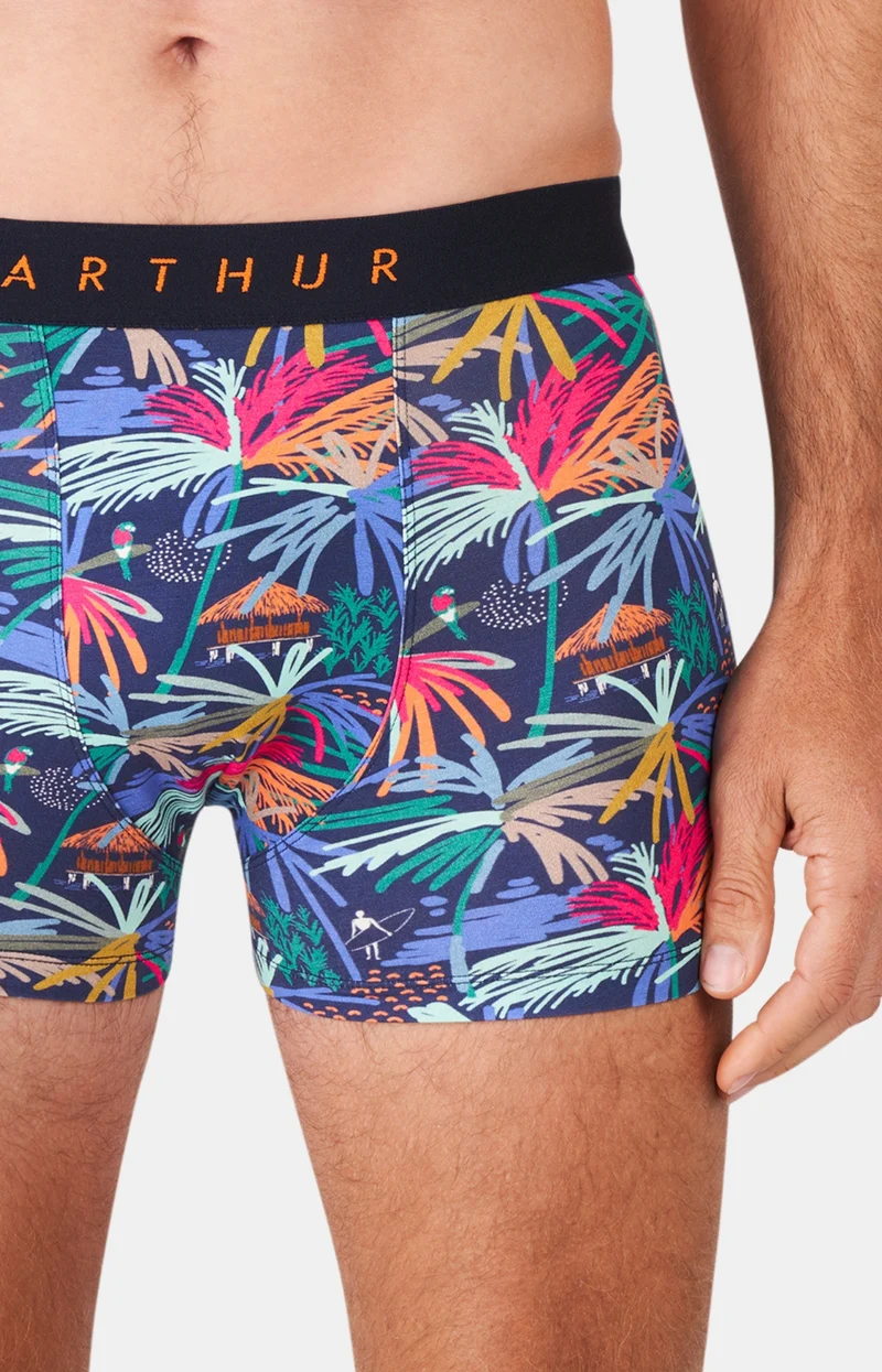 Boxer - Tropical