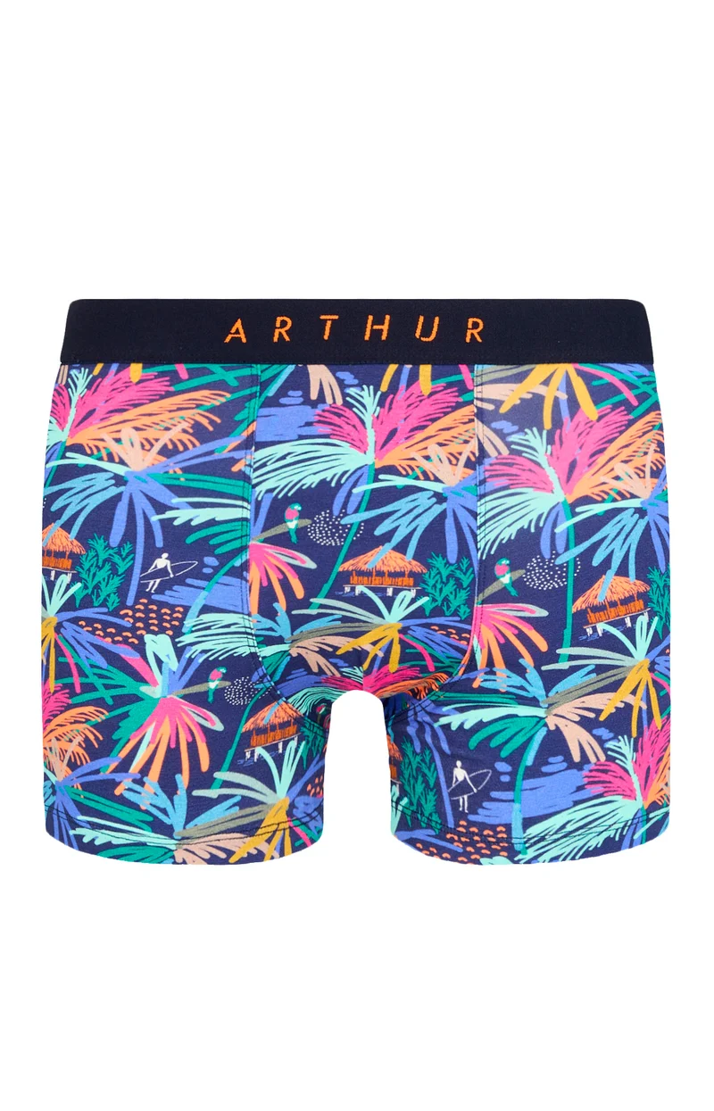 Boxer - Tropical