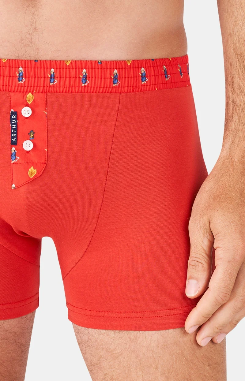 Boxer club - Coton
