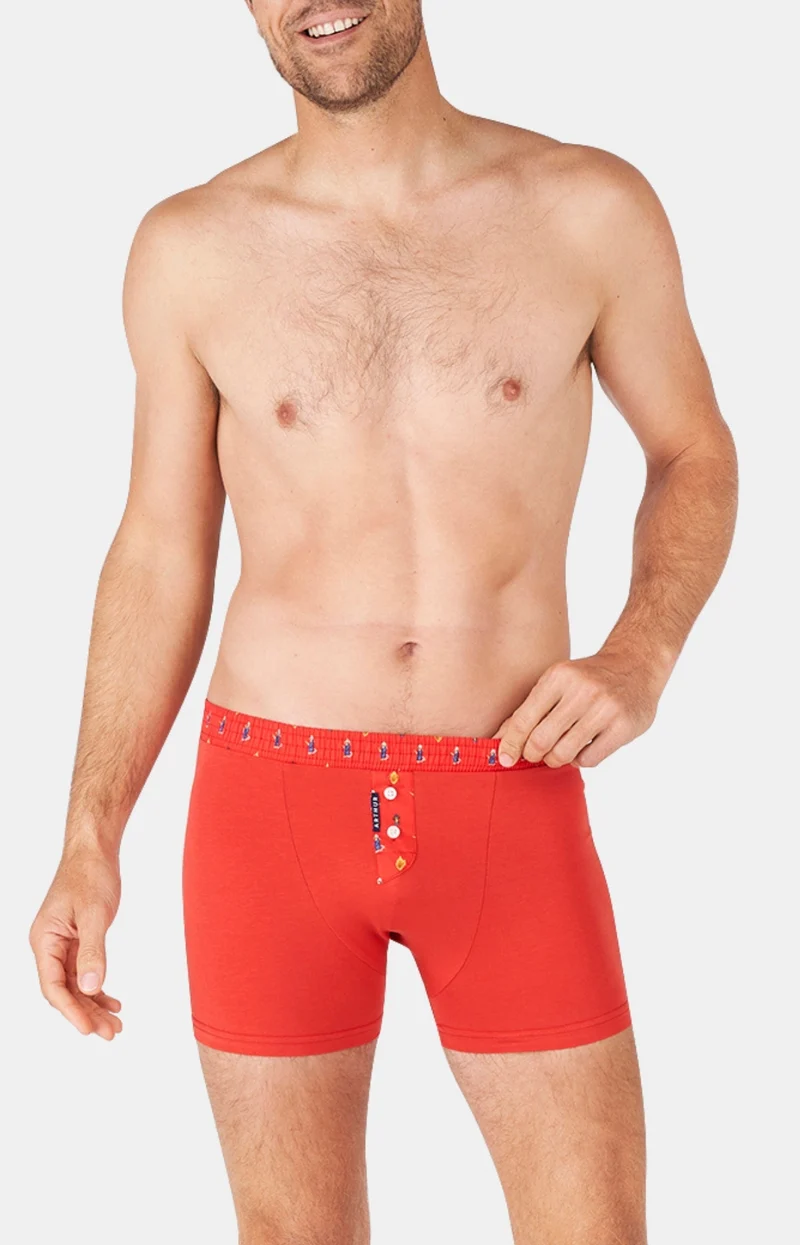 Boxer club - Coton