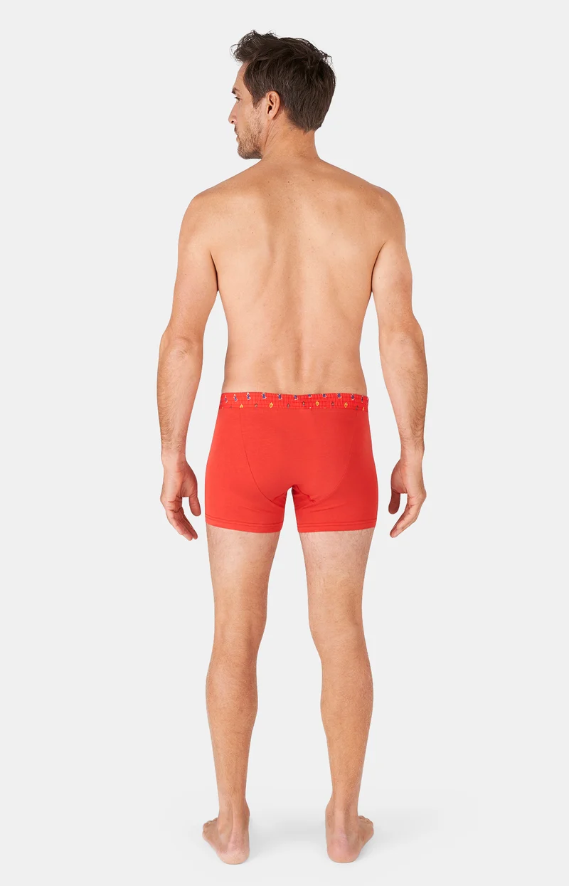 Boxer club - Coton