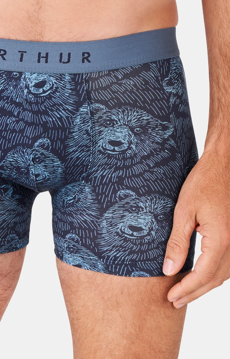Boxer - Ours