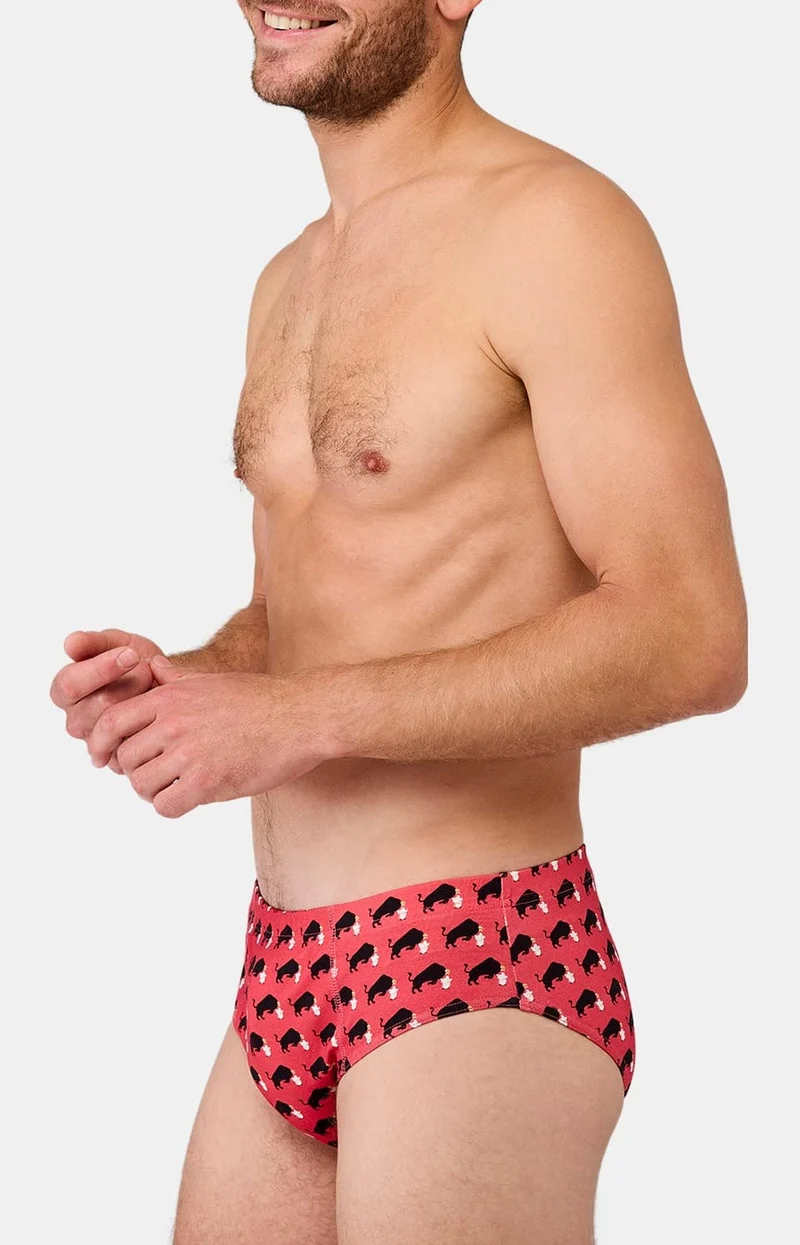 Slip en jersey de coton - Olé Toro
