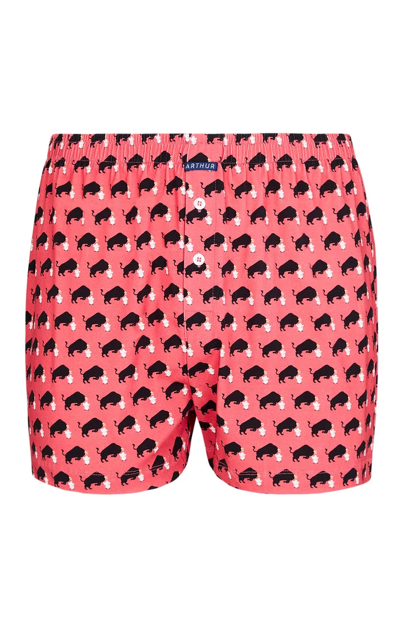 Caleçon classique en jersey de coton - Olé