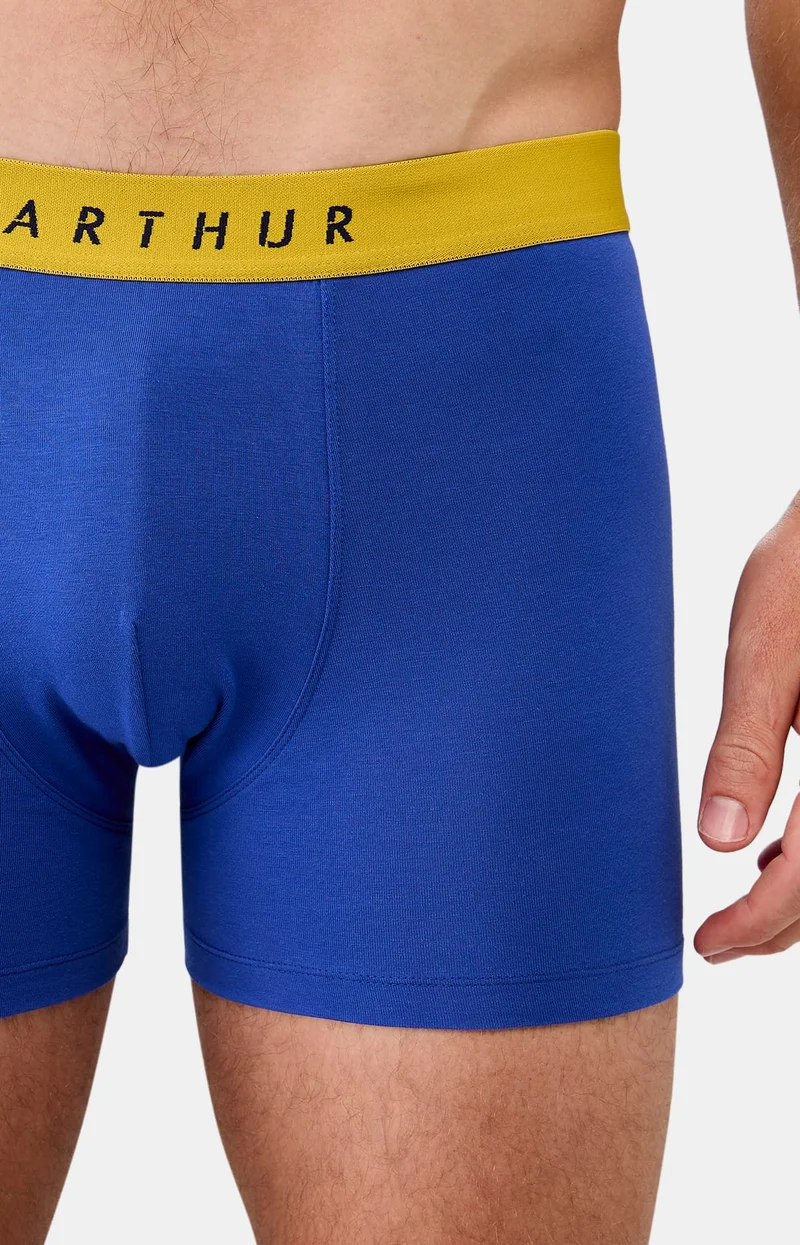 Boxer en jersey de coton - Roi