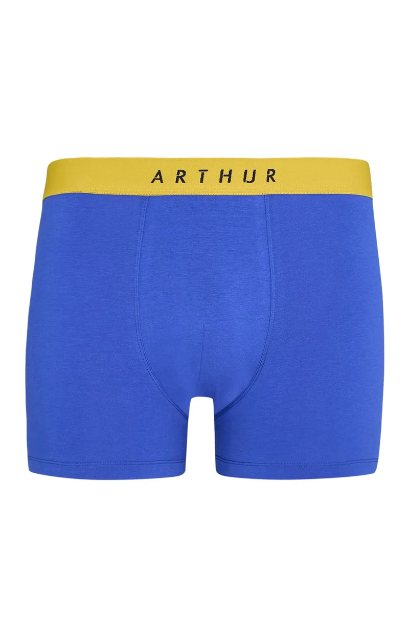 Boxer en jersey de coton - Roi