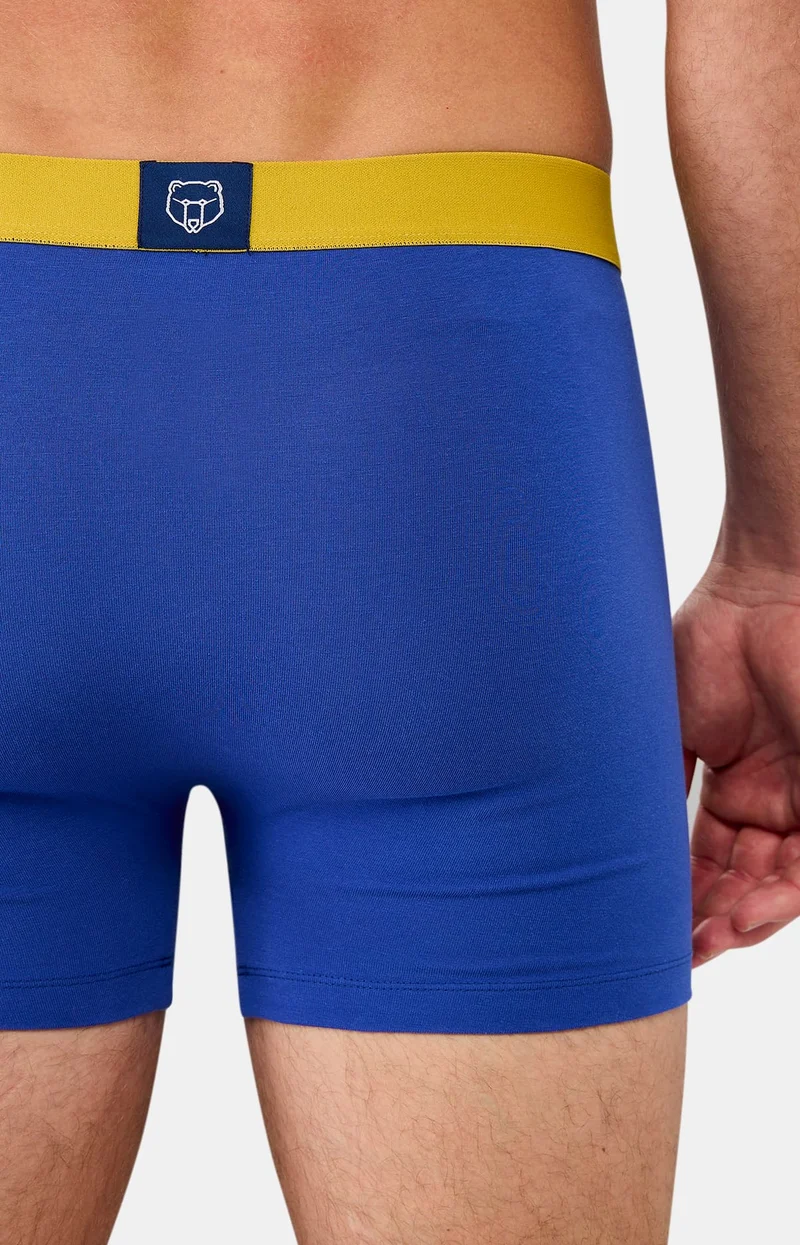 Boxer en jersey de coton - Roi