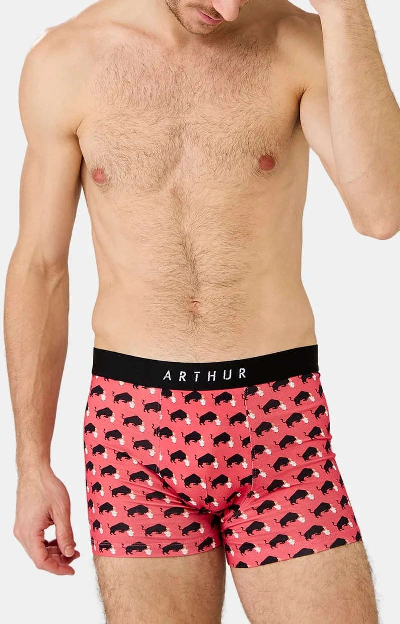 Boxer en jersey de coton - Olé Toro