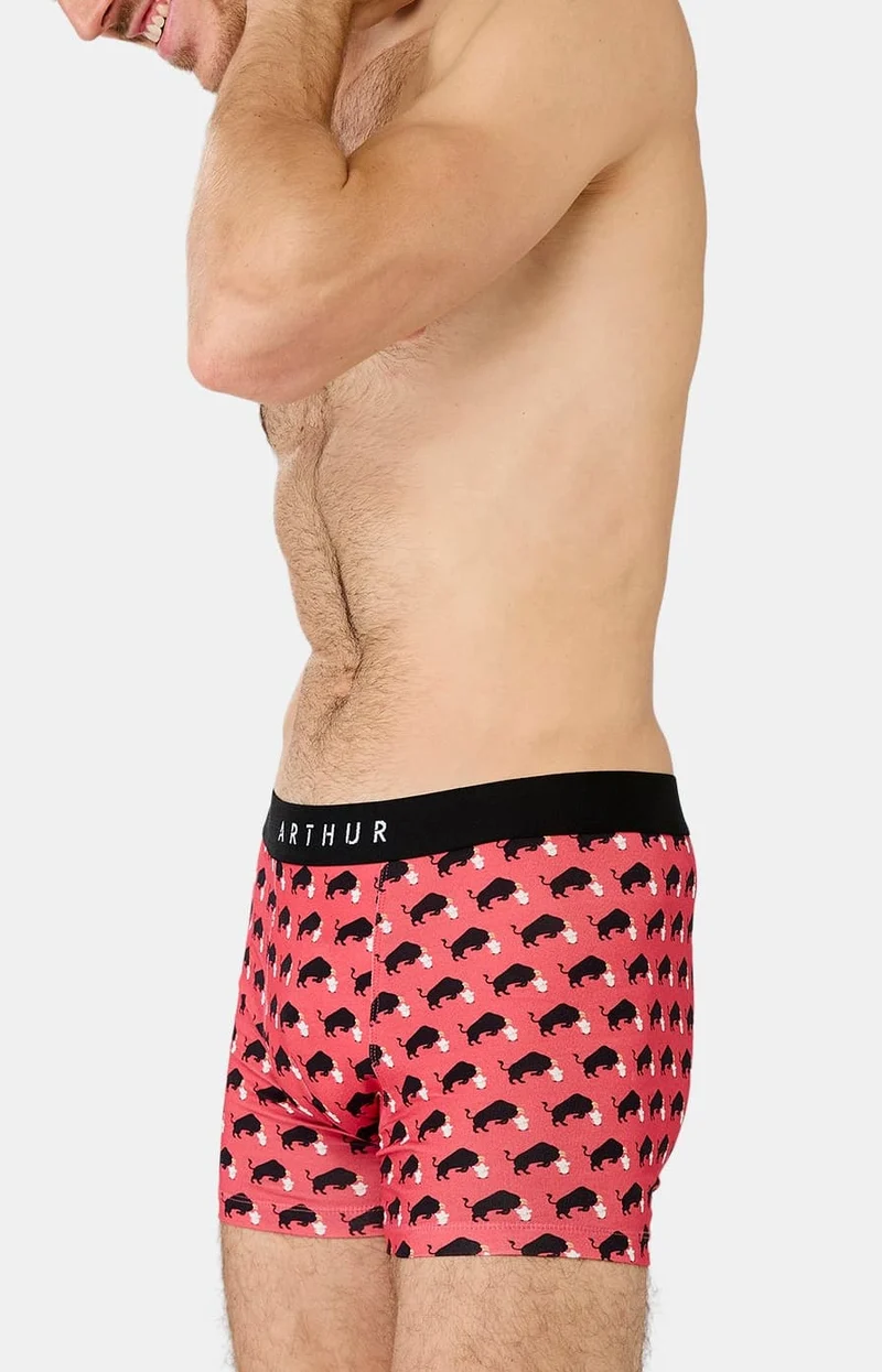 Boxer en jersey de coton - Olé Toro
