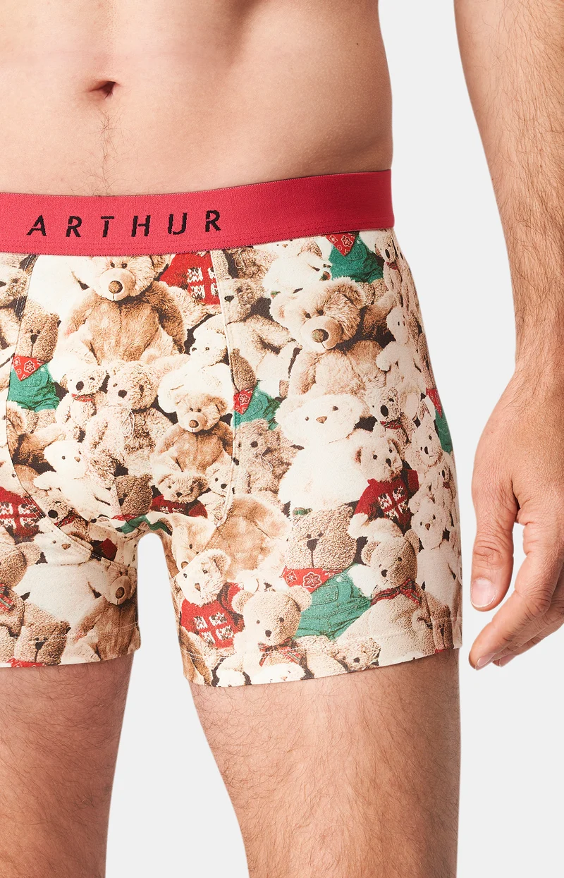 Boxer - Teddy bear