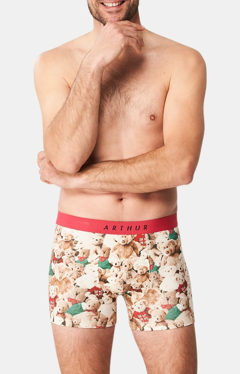 Boxer - Teddy bear