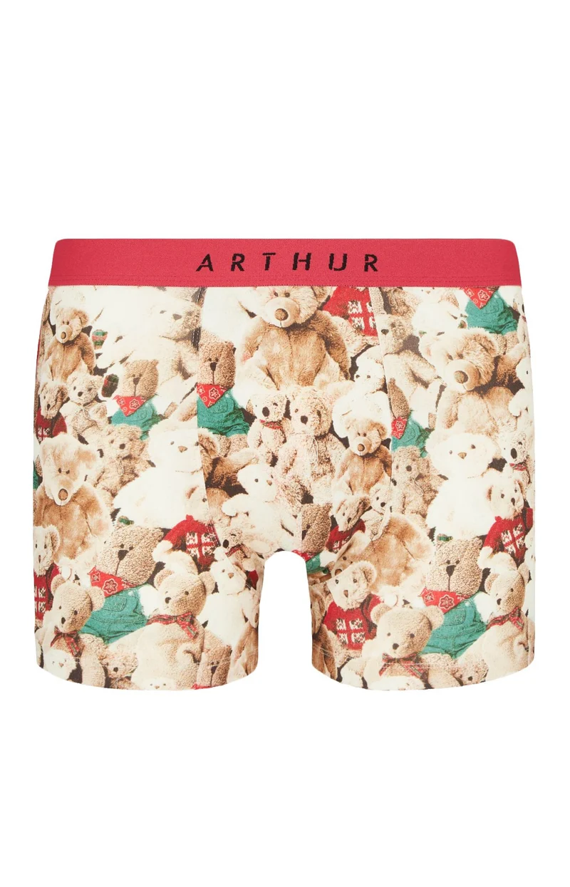 Boxer - Teddy bear