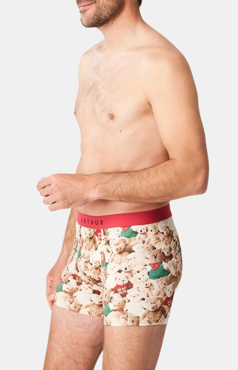 Boxer - Teddy bear