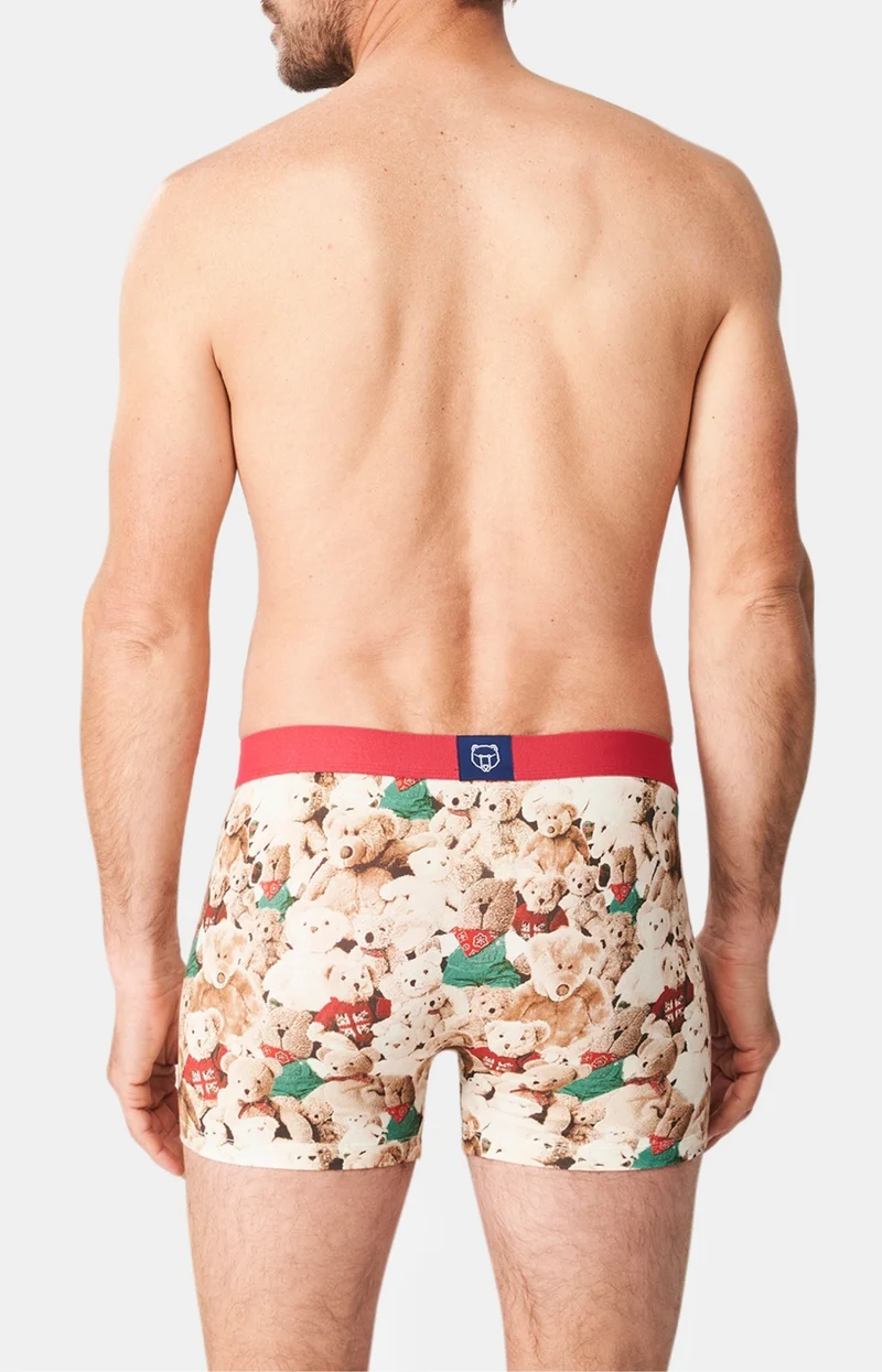Boxer - Teddy bear